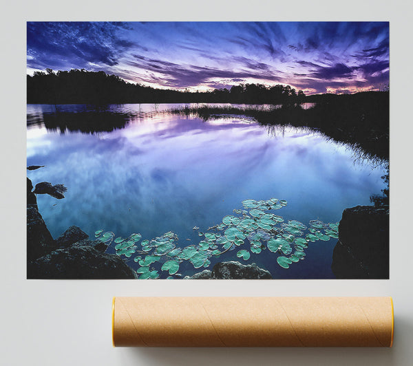 Calm Dusk Water Lily Pads Poster