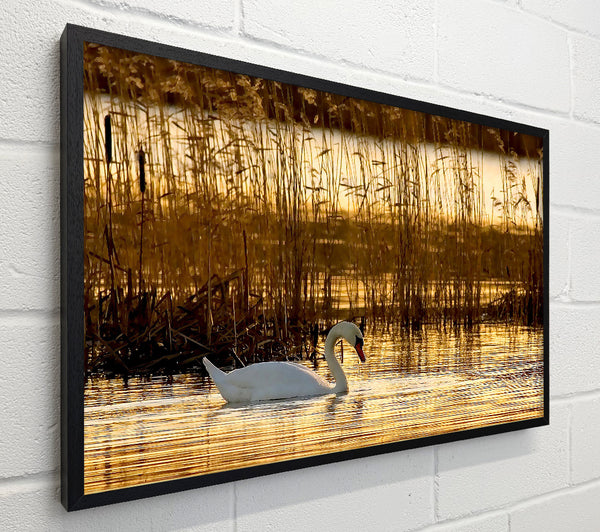 Swan Lake