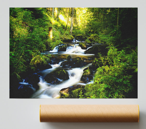 Black Forest In Germany Print