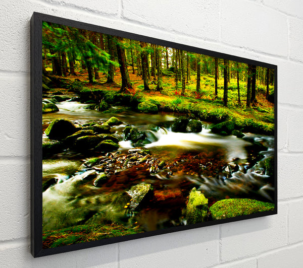 The Stream In Flow
