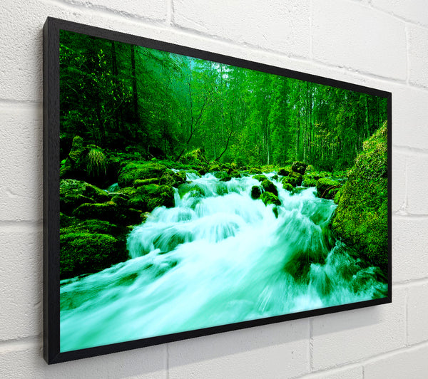 The Green Woodland River