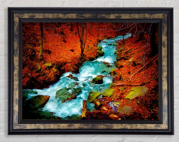 Red Autumn Stream Framed Print