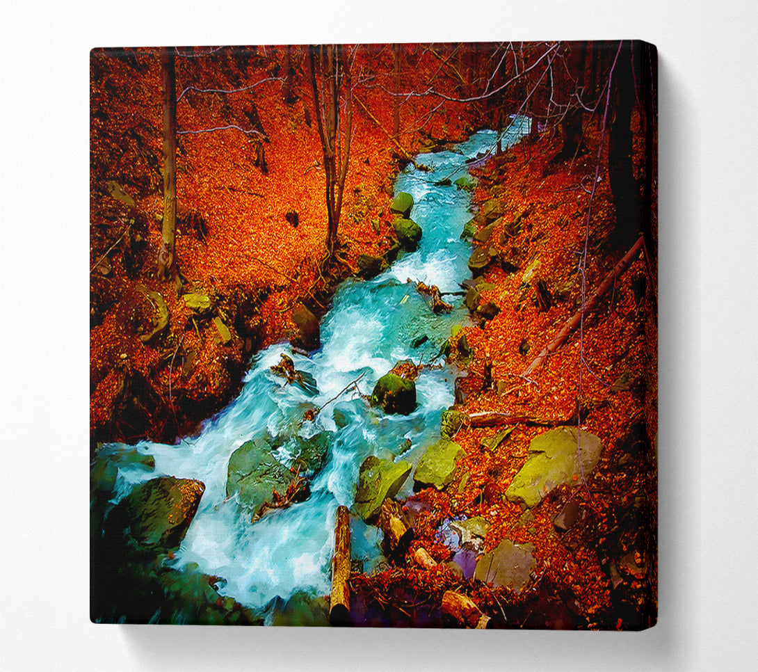  A Canvas Print of Red Autumn Stream Canvas Art