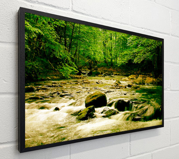 The Green River Forest