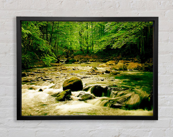 The Green River Forest Framed Print