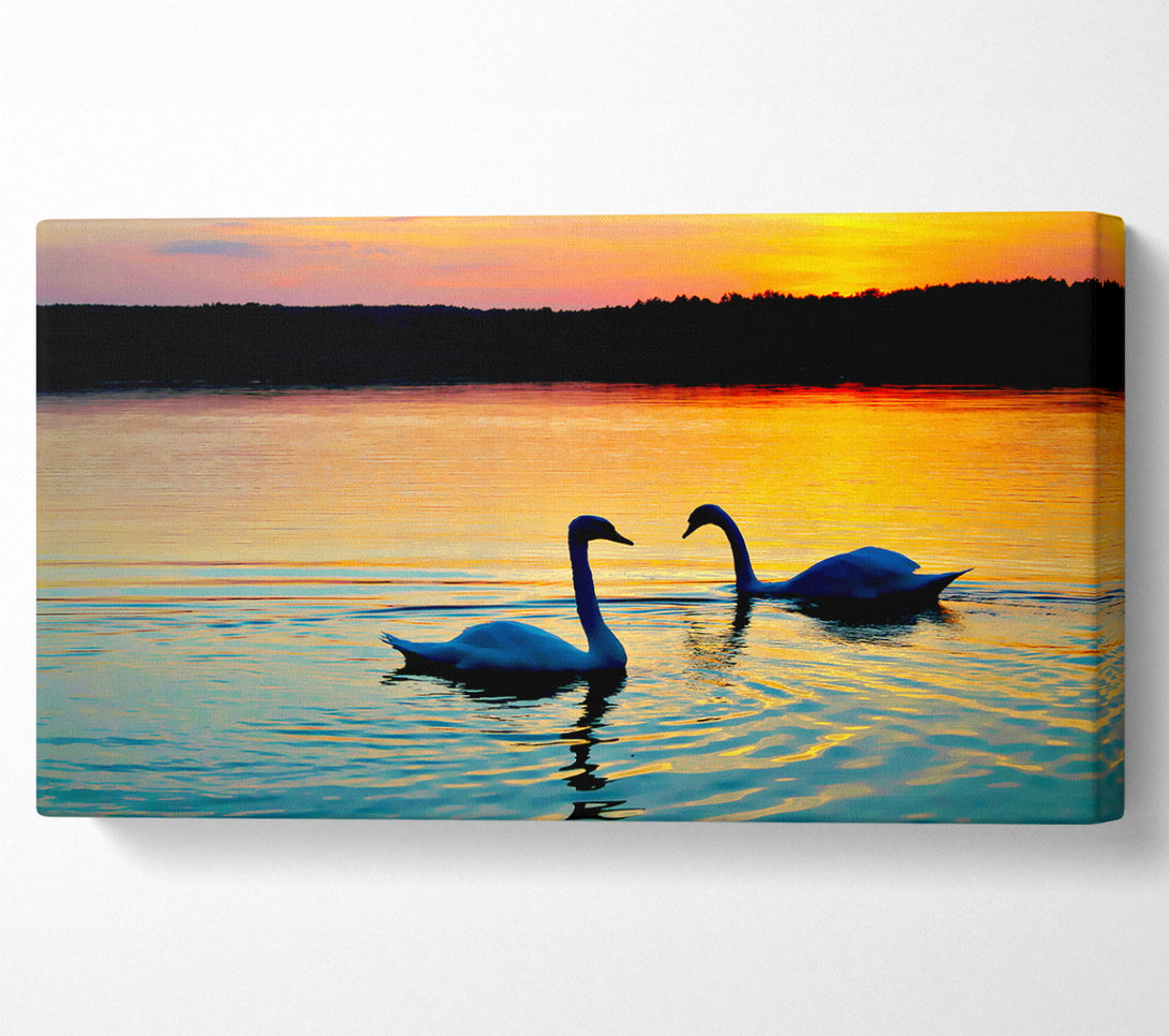  A Canvas Print of Lake Swans Canvas Print