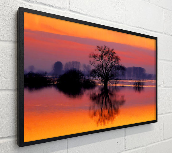 Orange Morning Reflections
