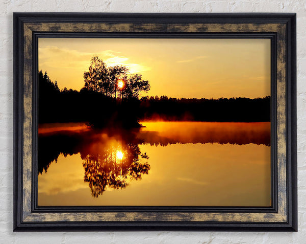 Reflections Of The Sunset Tree Framed Print