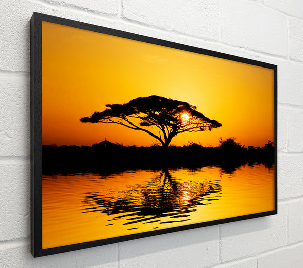 Tree Of Reflections