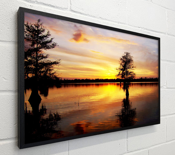 River Tree Sunset