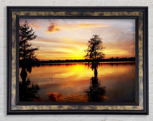 River Tree Sunset Framed Print