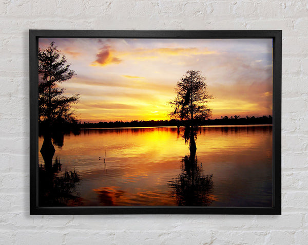 River Tree Sunset Framed Print