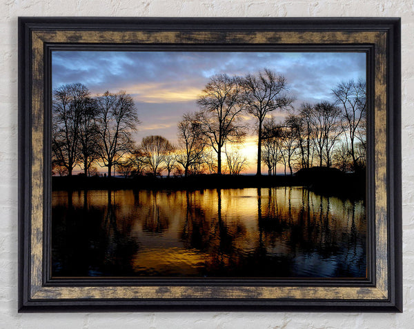 Woodland Lake At First Light Framed Print