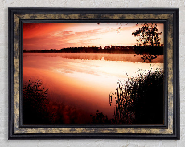 Pink River Light Framed Print