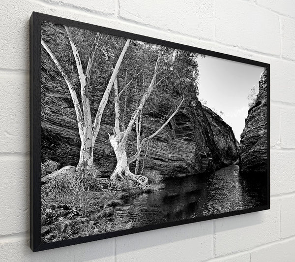 B n W Valley Still Waters