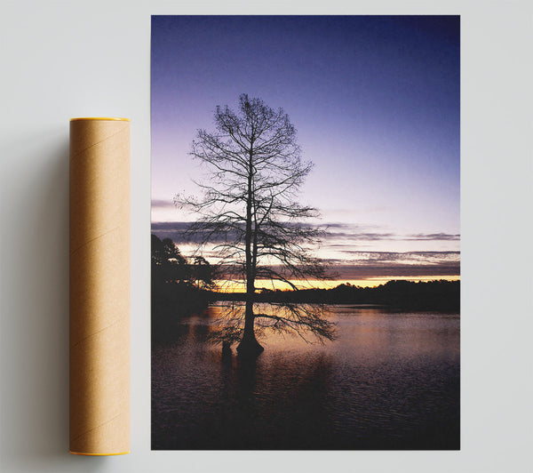 Lake At Dusk Giclee Print