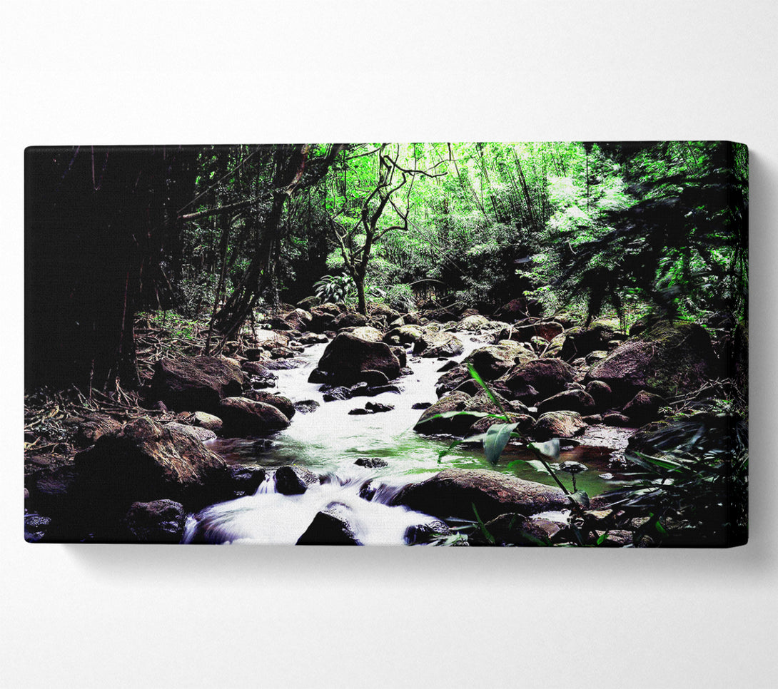  A Canvas Print of Hidden Woodland Stream Canvas Wall Art