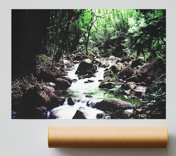 Hidden Woodland Stream Giclee Print