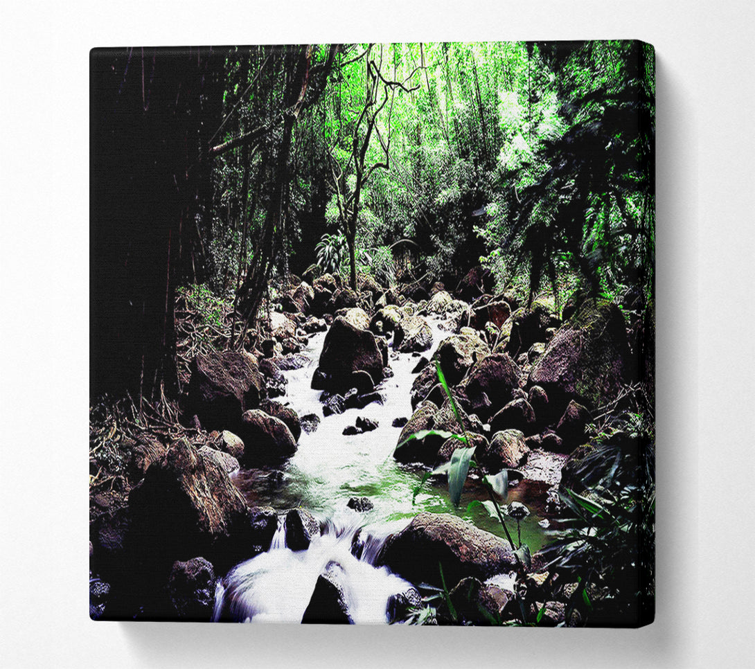  A Canvas Print of Hidden Woodland Stream Canvas Wall Art