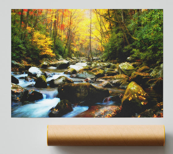 Autumn Stream Print