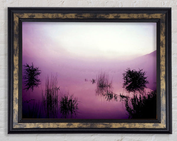Lilac Pink Mist Framed Print