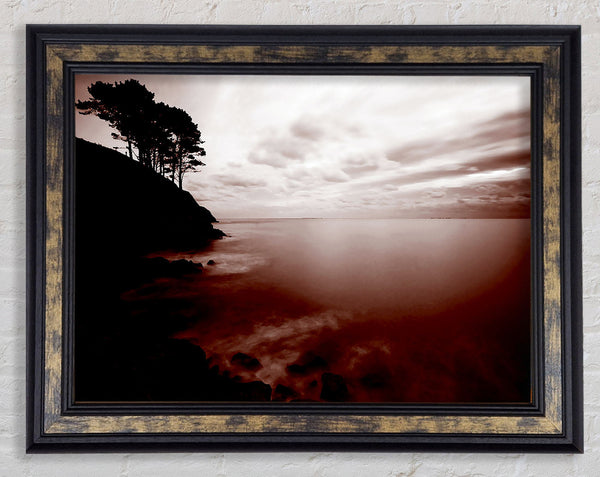 Chocolate Ocean Tree Tops Framed Print