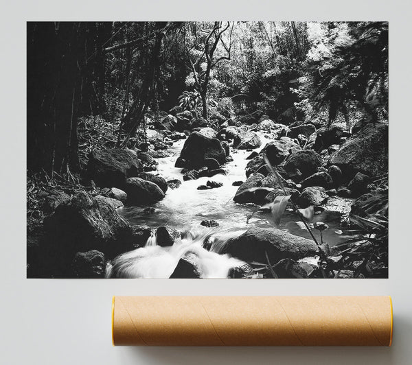 The Stream In The Woodland B N W Poster
