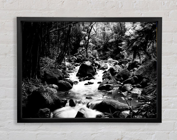 The Stream In The Woodland B n W Framed Print