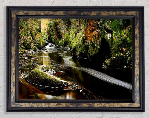 Woodland Stream Flows Framed Print