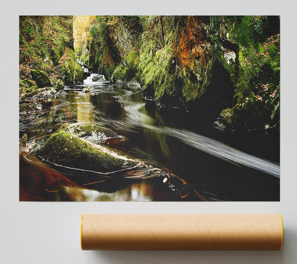 Woodland Stream Flows Print