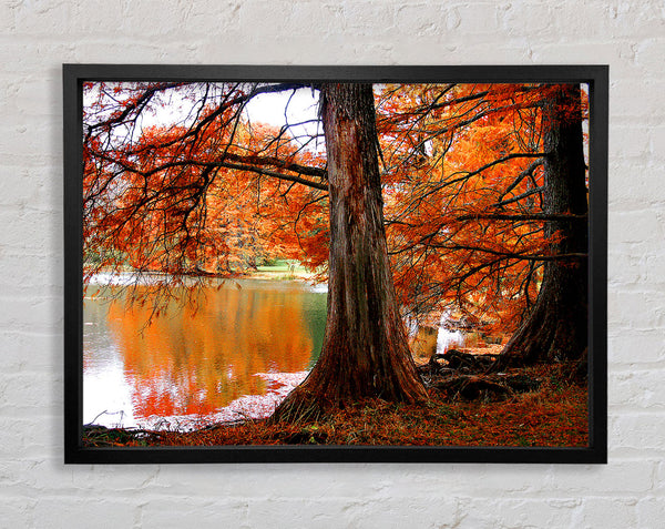 Orangefarbene Winterseereflexionen