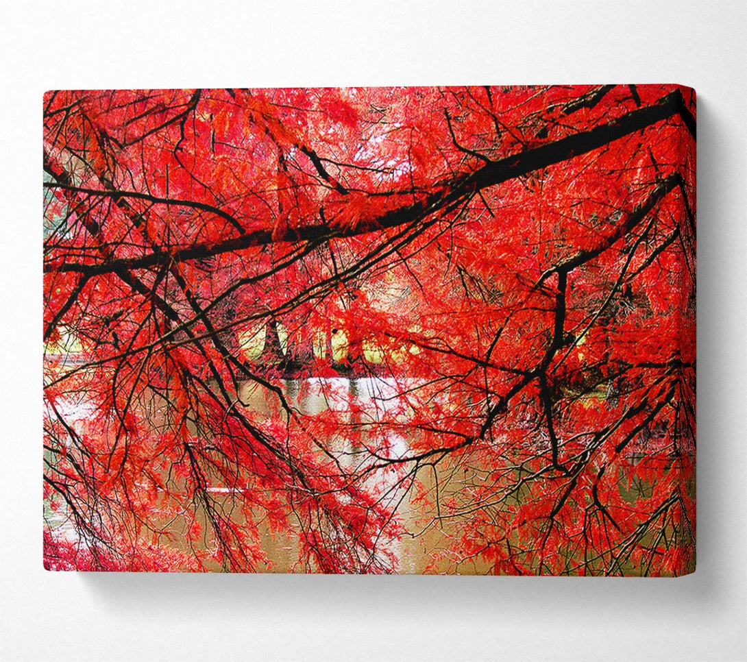  A Canvas Print of Red River Leaves Canvas Wall Art