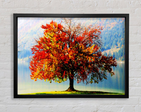 Der alte Winterbaum im Herbst