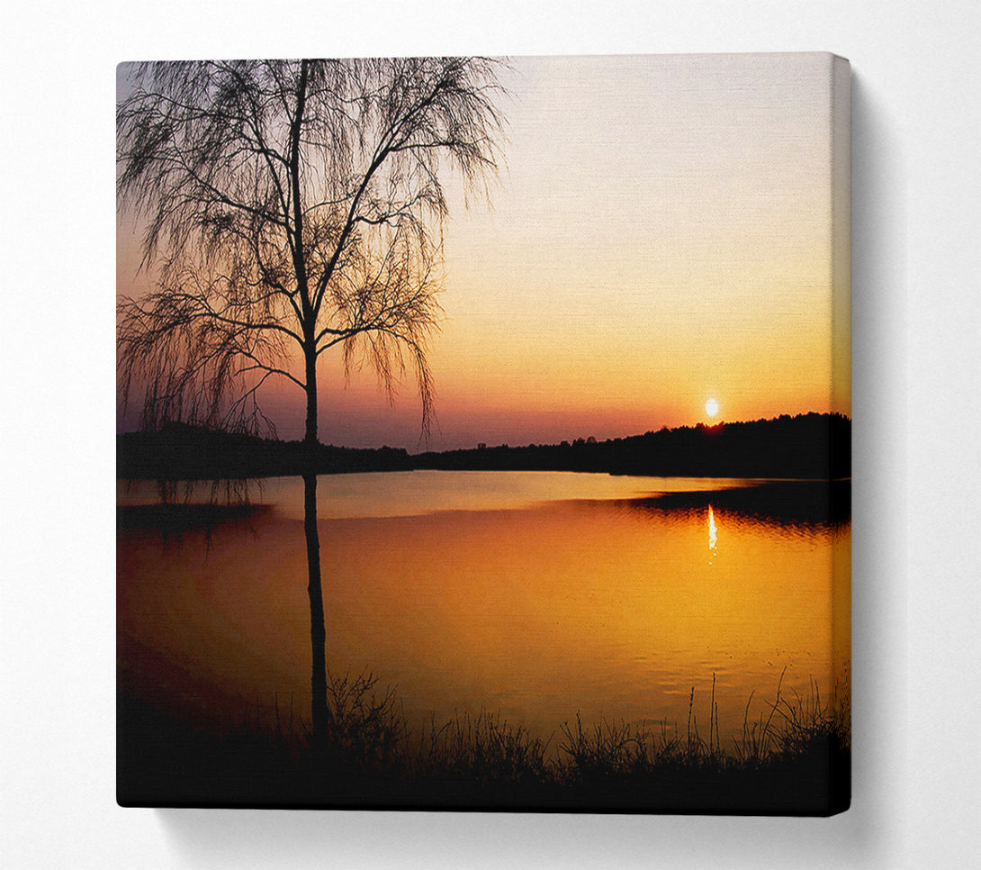  A Canvas Print of Peaceful Lake At Dawn Canvas Wall Art