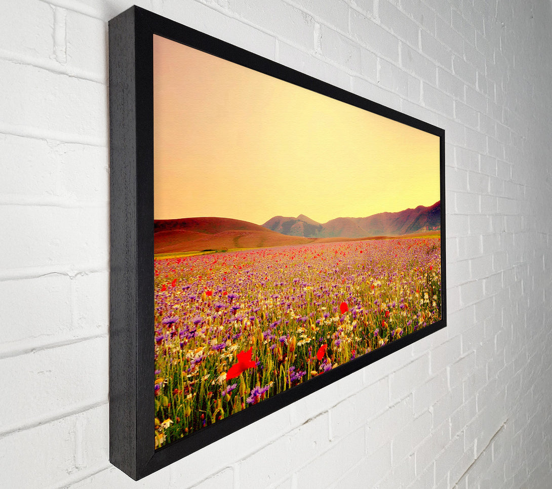  A Canvas Print of Sunny Field Of Beautiful Wild Flowers Canvas Print