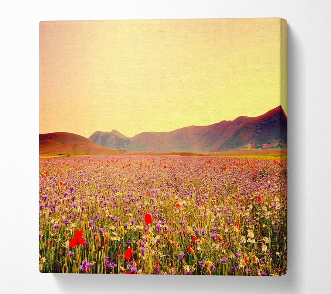  A Canvas Print of Sunny Field Of Beautiful Wild Flowers Canvas Print