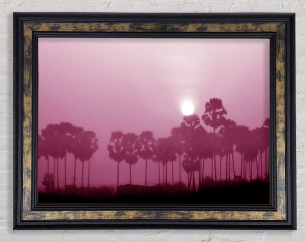 Sun Over The Deep Pink Lake Framed Print