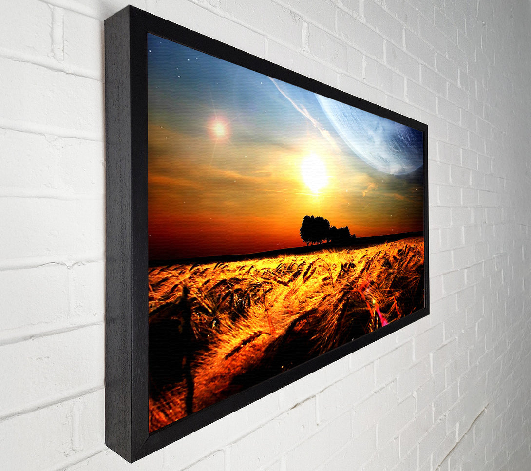  A Canvas Print of Fields Wheat In The Planets Golden Sun Canvas Print