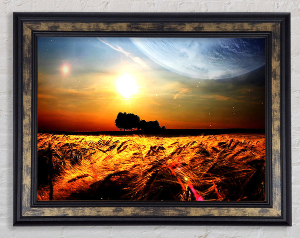 Fields Wheat In The Planets Golden Sun Framed Print