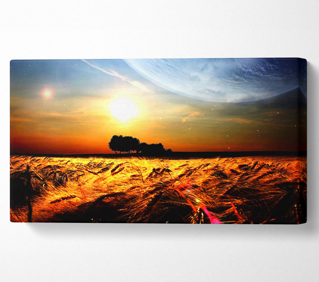  A Canvas Print of Fields Wheat In The Planets Golden Sun Canvas Print