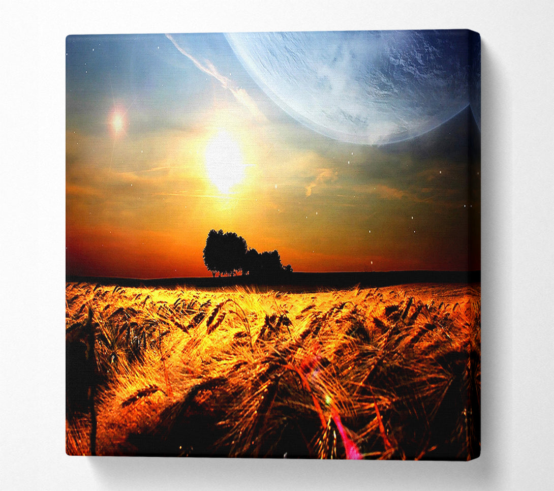  A Canvas Print of Fields Wheat In The Planets Golden Sun Canvas Print