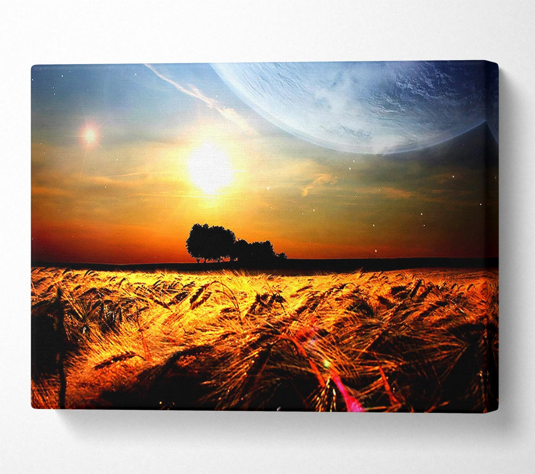  A Canvas Print of Fields Wheat In The Planets Golden Sun Canvas Print