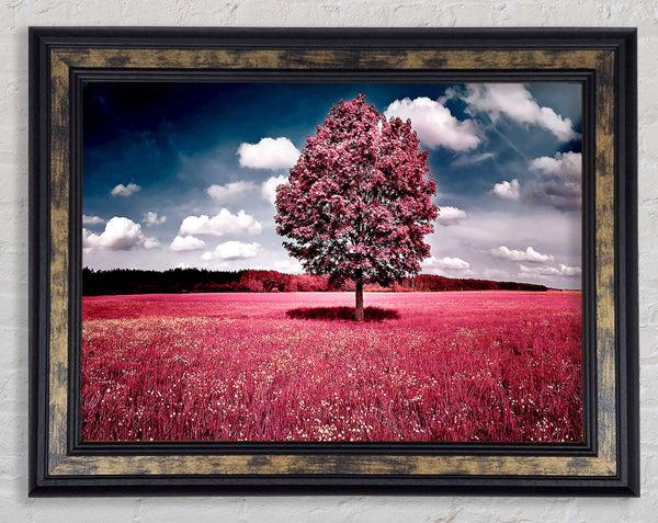 Pink Field Framed Print