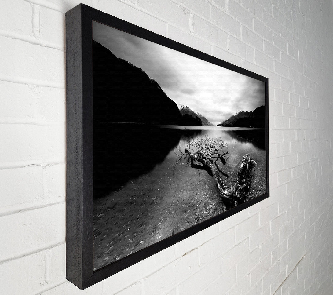  A Canvas Print of Tree In The Lake B n W Canvas Wall Art
