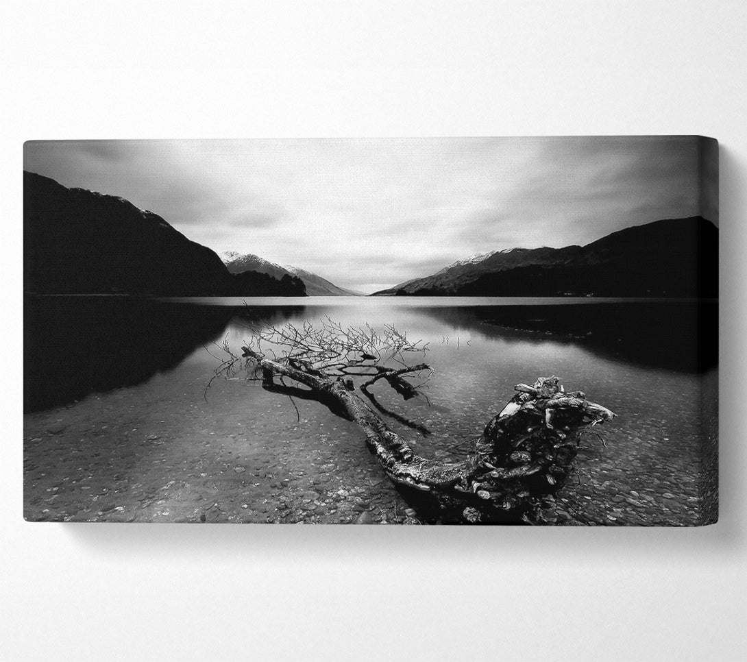  A Canvas Print of Tree In The Lake B n W Canvas Wall Art