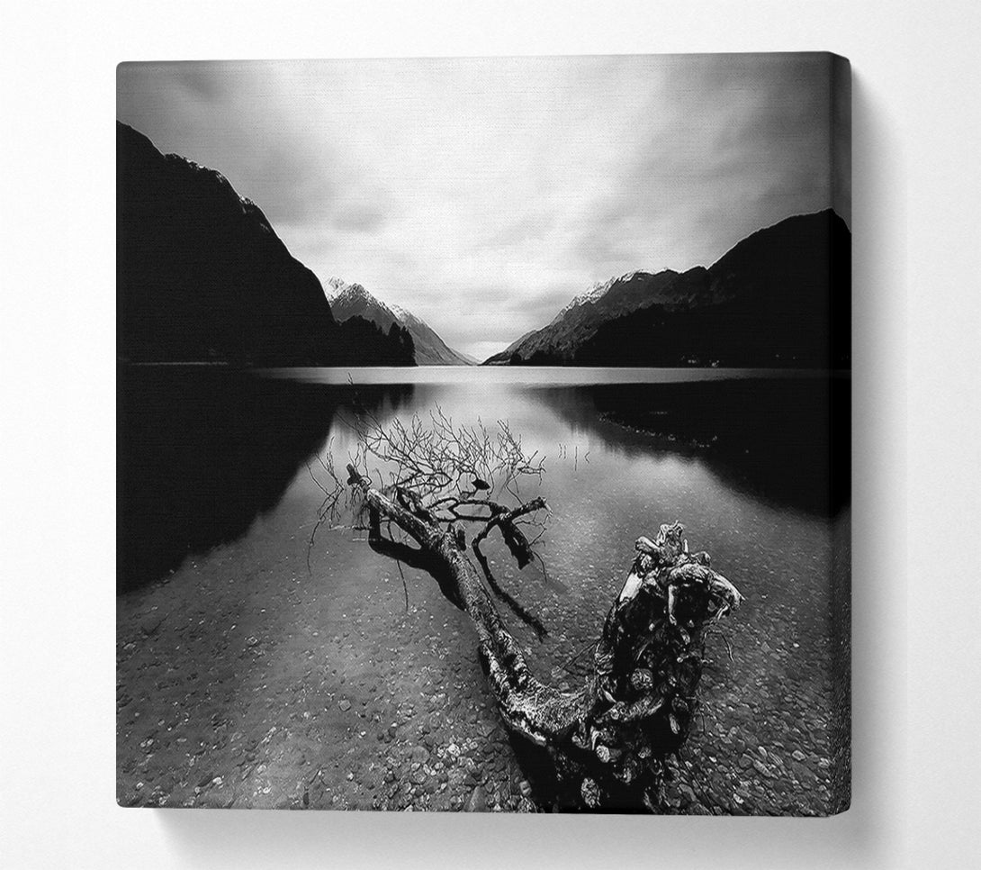  A Canvas Print of Tree In The Lake B n W Canvas Wall Art