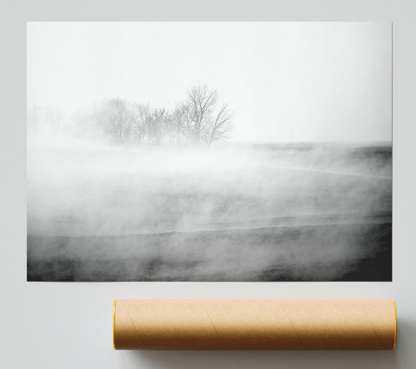 Absorption B N W Print