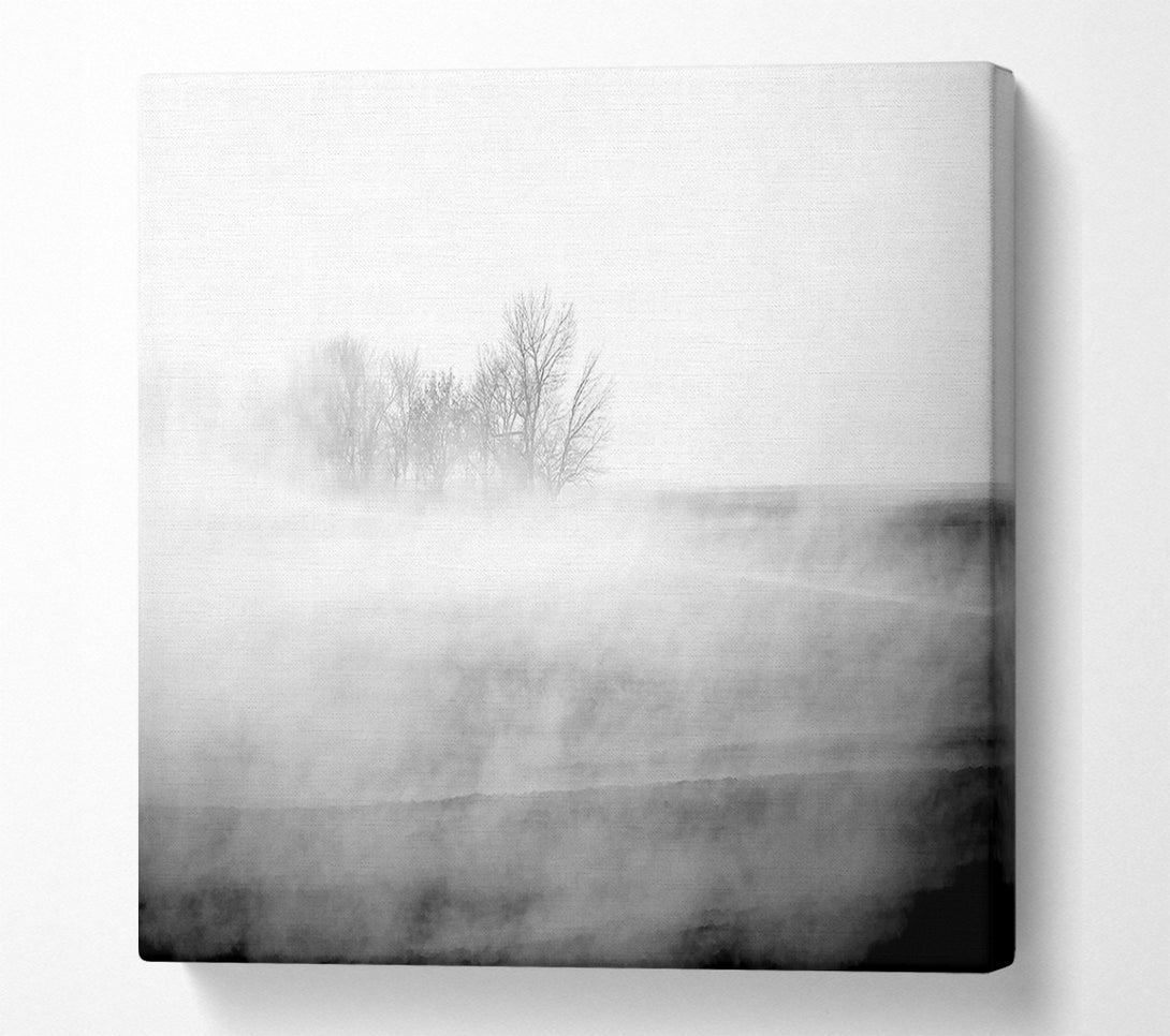  A Canvas Print of Absorption B n W Canvas Art