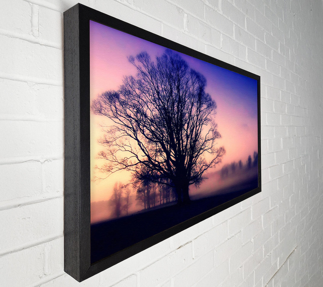  A Canvas Print of Scots Mist Canvas Art