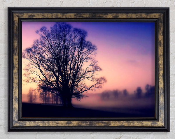 Scots Mist Framed Print